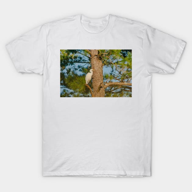 Great egret in North Carolina T-Shirt by KensLensDesigns